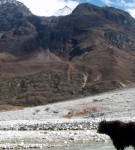 Ganja la pass trekking